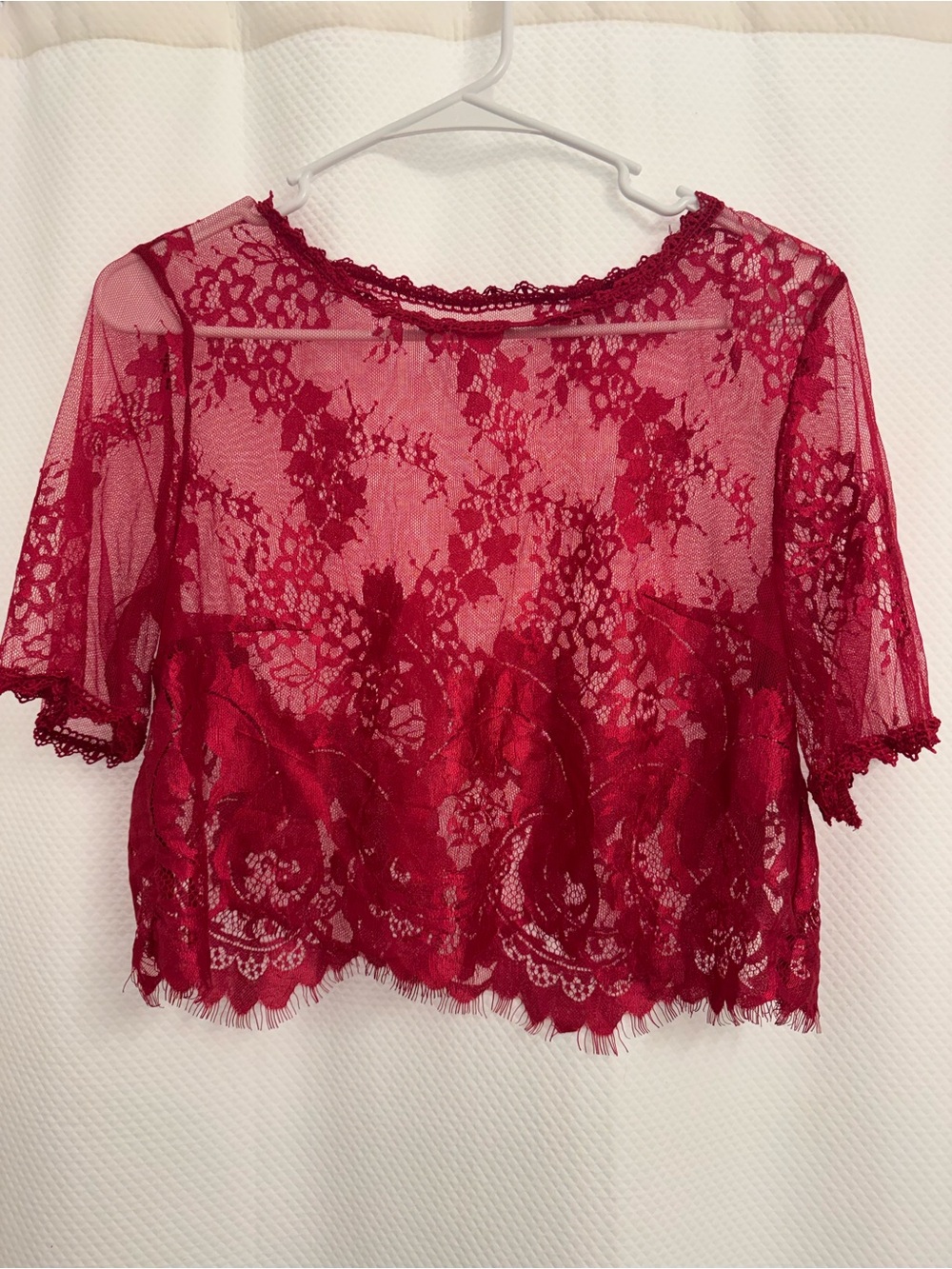 Women's Sheer Lace Crop Top - Red